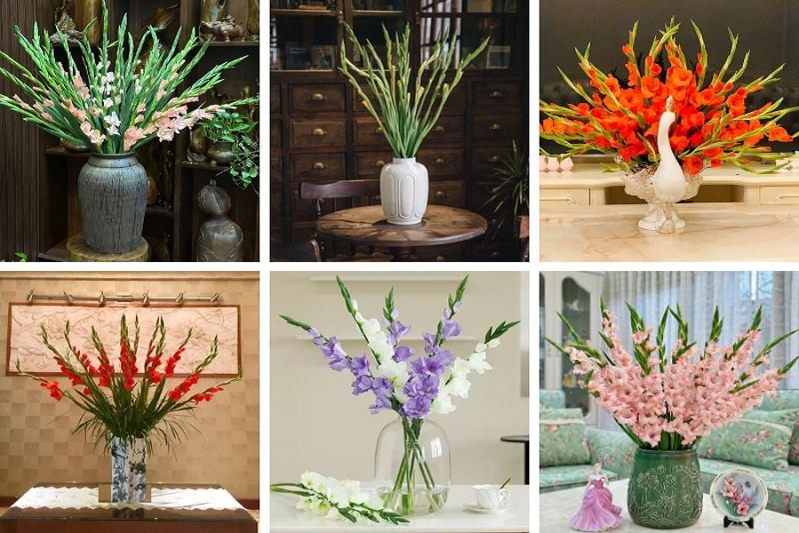 Chọn b&igrave;nh chưng hoa lay ơn ph&ugrave; hợp.