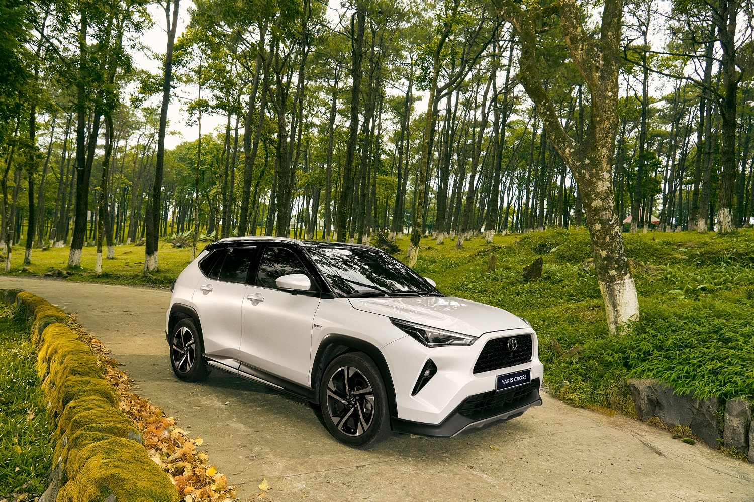 Toyota Việt Nam áp dụng mức giá mới cho một số mẫu xe Hybrid