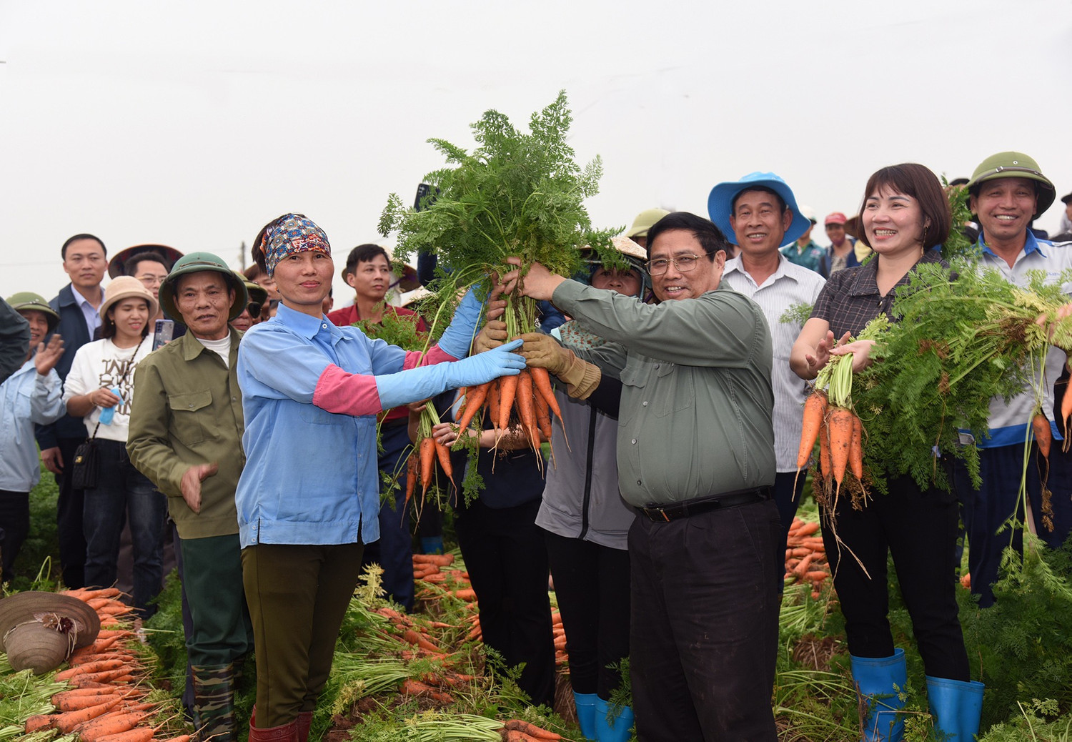 Thủ tướng Chính phủ Phạm Minh Chính thu hoạch cà-rốt cùng nông dân tỉnh Hải Dương-nay là thành phố Hải Phòng, chiều 15/2/2024. Thủ tướng Chính phủ Phạm Minh Chính thu hoạch cà-rốt cùng nông dân tỉnh Hải Dương-nay là thành phố Hải Phòng, chiều 15/2/2024.