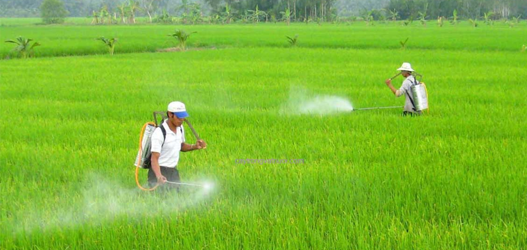 Quy định mới về điều kiện sản xuất, buôn bán thuốc bảo vệ thực vật