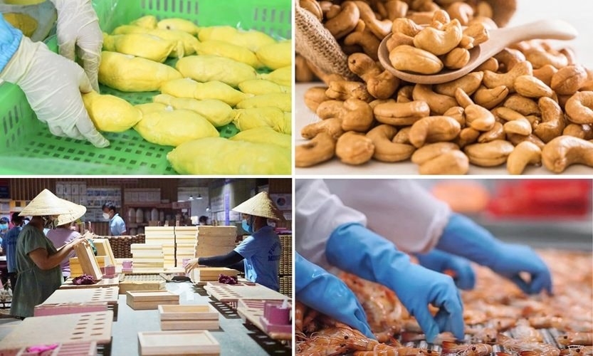 Năm 2025, bất chấp thi&ecirc;n tai khốc liệt v&agrave; biến động thị trường, tổng kim ngạch xuất khẩu n&ocirc;ng l&acirc;m thủy sản của Việt Nam vẫn đạt 70,09 tỷ USD, tăng 12% so với năm trước v&agrave; l&agrave; mức cao nhất từ trước đến nay.