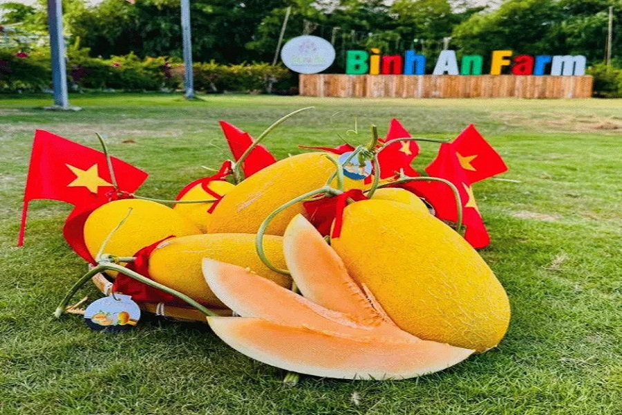 Trang trại công nghệ cao Bình An Farm - xã Tân Thành Trang trại công nghệ cao Bình An Farm - xã Tân Thành