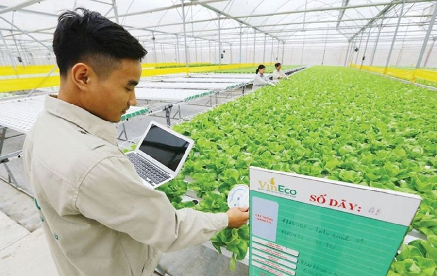 Nông dân sử dụng các thiết bị thông minh để theo dõi tình trạng sinh trưởng của cây trồng ngay tại ruộng. Nông dân sử dụng các thiết bị thông minh để theo dõi tình trạng sinh trưởng của cây trồng ngay tại ruộng.