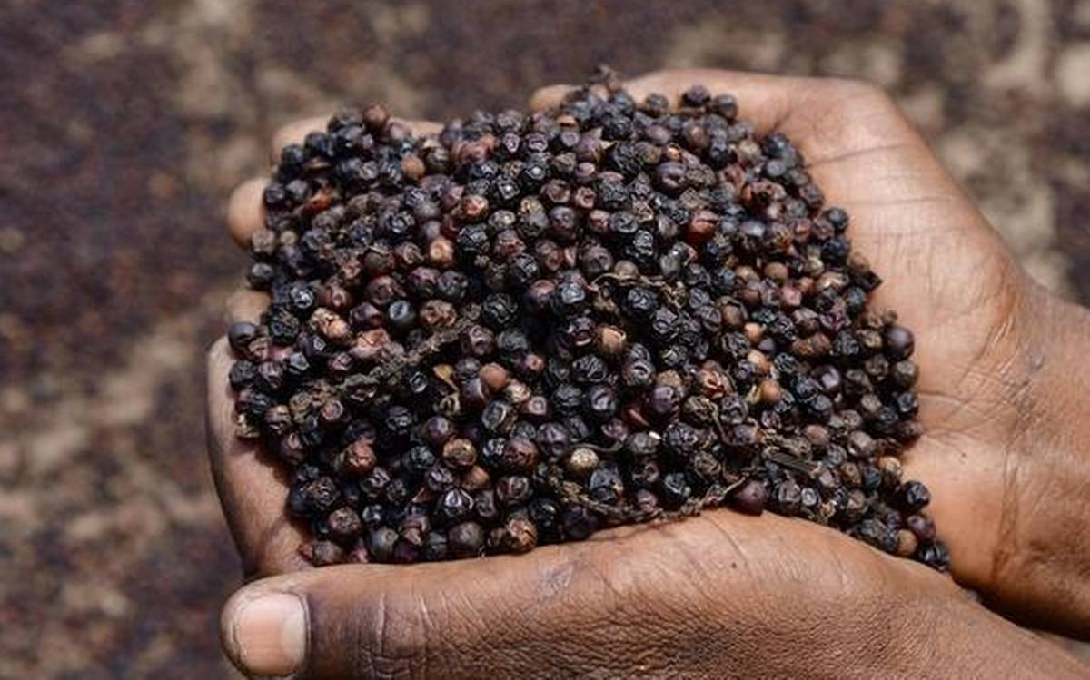 Gi&aacute; ti&ecirc;u h&ocirc;m nay 23/1: Đi ngang (Ảnh minh họa)