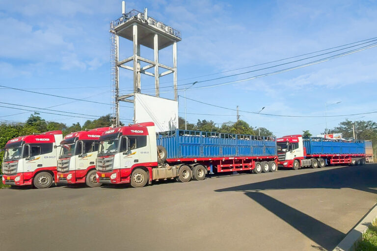 THILOGI tiếp nhận v&agrave; vận chuyển nhiều l&ocirc; b&ograve; số lượng lớn cho c&aacute;c doanh nghiệp
