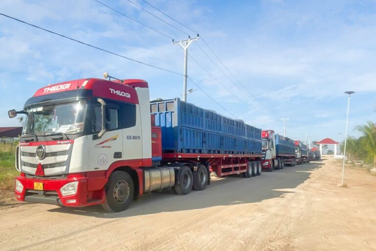 To&agrave;n bộ số b&ograve; được vận chuyển v&agrave; b&agrave;n giao cho kh&aacute;ch h&agrave;ng an to&agrave;n, nhanh ch&oacute;ng