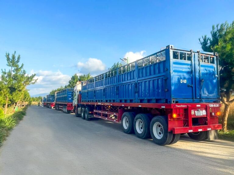 . THILOGI kết hợp vận chuyển đối lưu gi&uacute;p khai th&aacute;c năng lực phương tiện v&agrave; tối ưu chi ph&iacute; logistics cho c&aacute;c doanh nghiệp