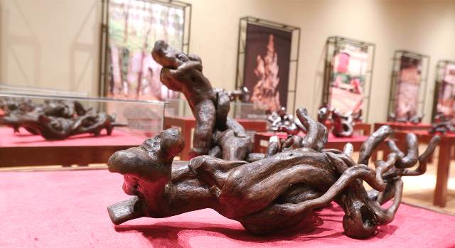 Triển lãm giới thiệu khoảng 100 mẫu vật, sản phẩm tiêu biểu từ trầm hương đến công chúng. Triển lãm giới thiệu khoảng 100 mẫu vật, sản phẩm tiêu biểu từ trầm hương đến công chúng.