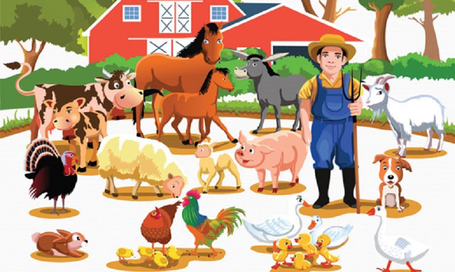 Ngành chăn nuôi Đồng Tháp hướng tới sản xuất bền vững với năng lượng sạch Ngành chăn nuôi Đồng Tháp hướng tới sản xuất bền vững với năng lượng sạch