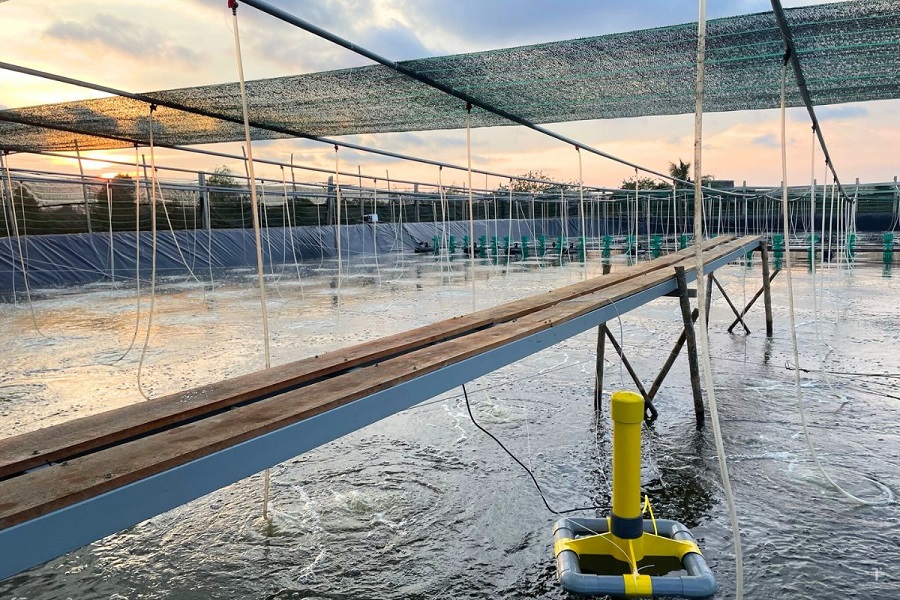 Làm rõ đối tượng, quy trình kiểm dịch động vật, sản phẩm thủy sản