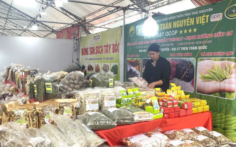 180 gian hàng tham gia Hội chợ Xuân Quảng Trị 2026