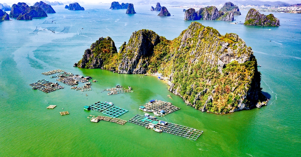 Du lịch Quảng Ninh 2026: Nâng tầm thương hiệu từ những giá trị khác biệt