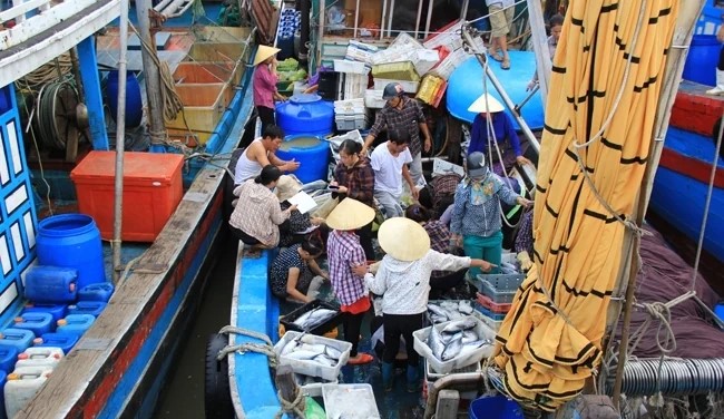 Thanh Hóa quản lý chặt chẽ hoạt động thu mua thủy sản khai thác