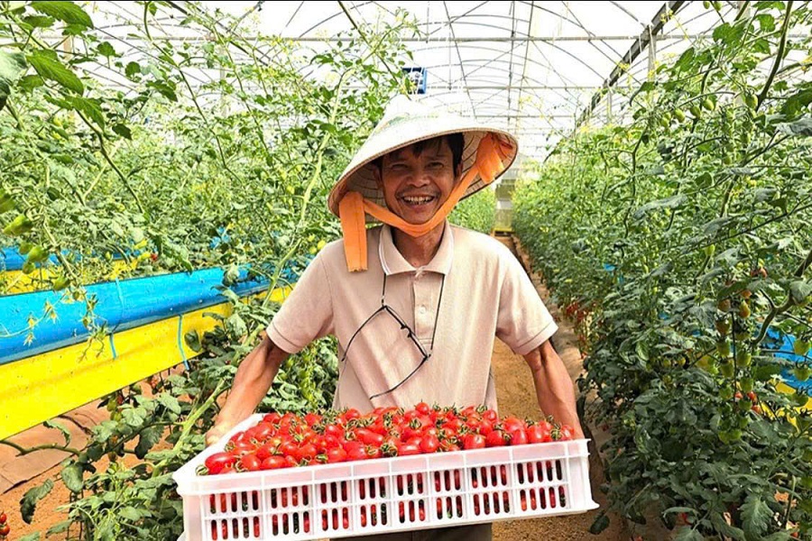 L&agrave;m n&ocirc;ng kh&ocirc;ng chỉ l&agrave; gieo hạt, m&agrave; l&agrave; gieo niềm tin v&agrave; giữ trọn c&aacute;i t&acirc;m với đất. L&atilde;o n&ocirc;ng c&ocirc;ng nghệ b&ecirc;n sản phẩm của Langbiang Farm