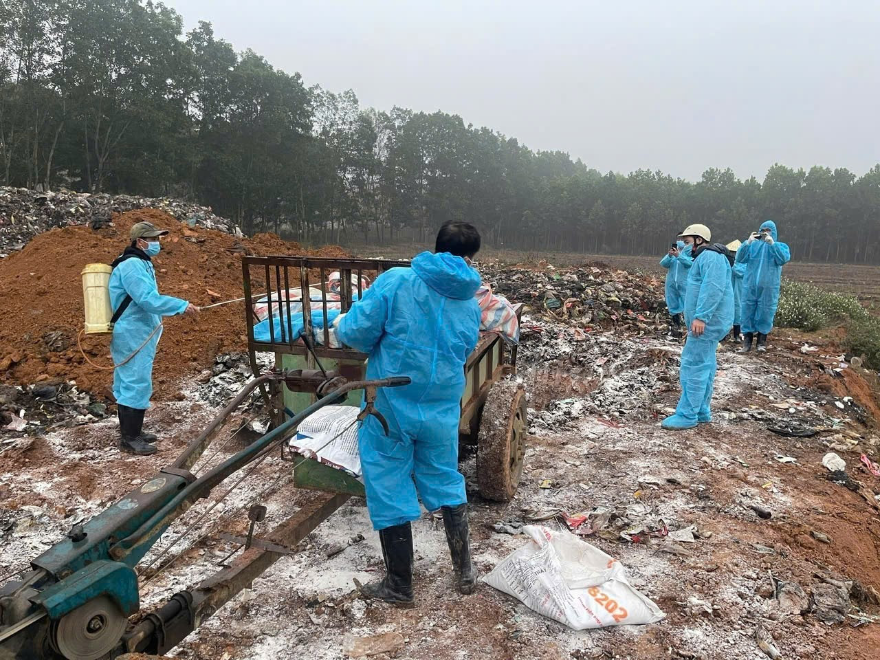 Thanh Hóa công bố hết dịch bệnh tả lợn châu Phi