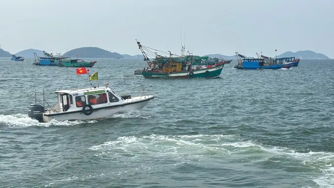 Bí thư An Giang chỉ đạo xử lý nghiêm tàu cá “3 không” gây rối vùng biển Kiên Lương