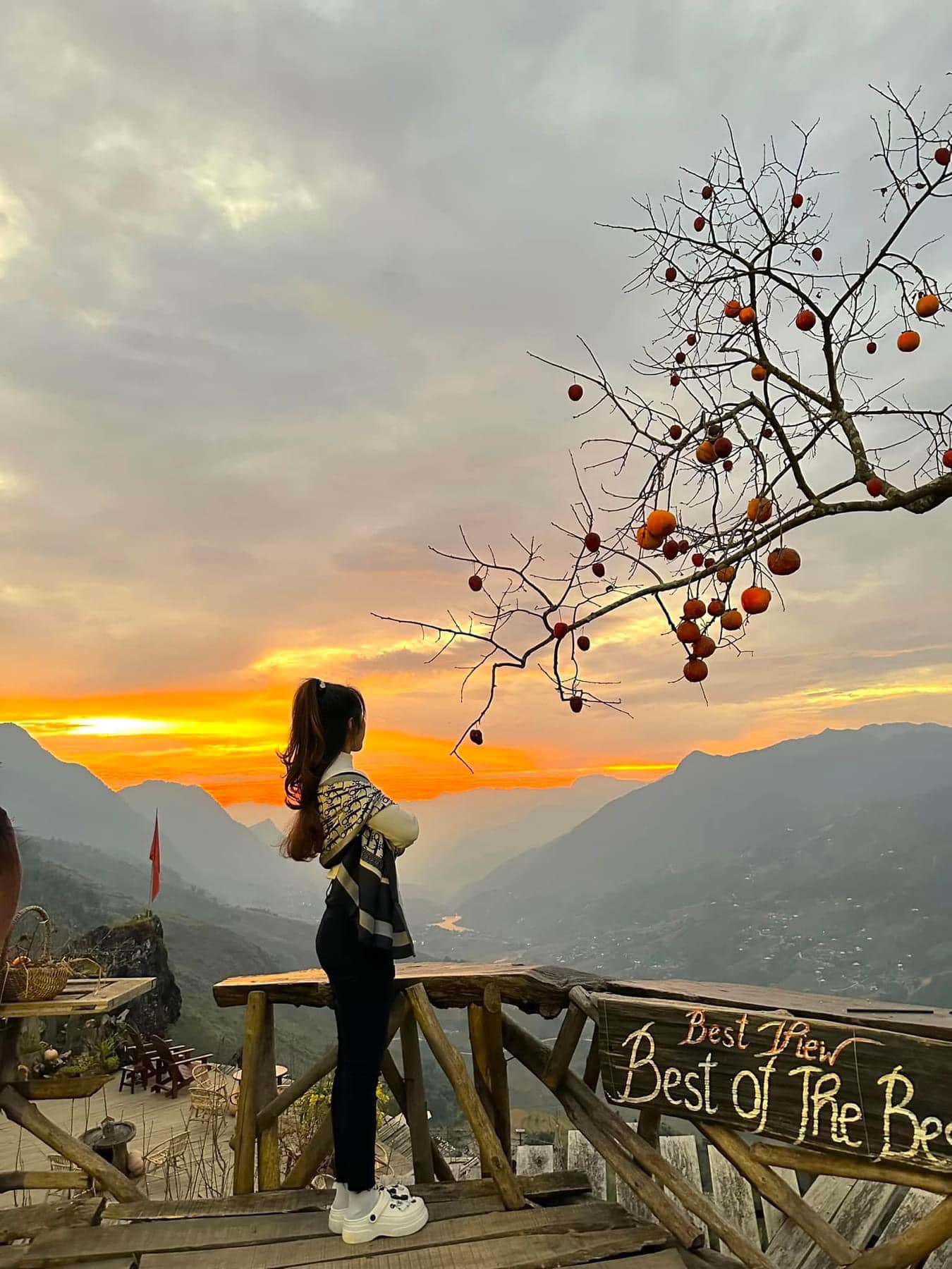 ... hay sương sớm