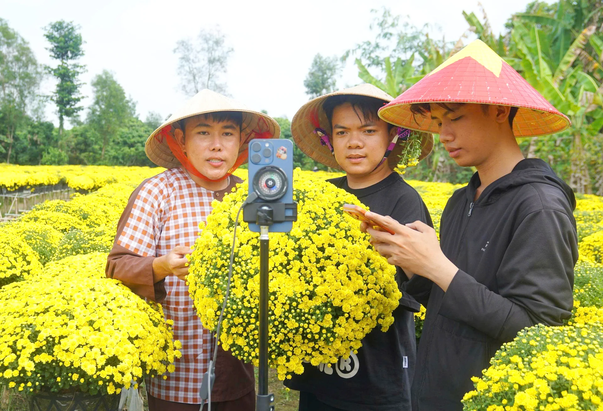 Livestream bán hoa: Giải pháp linh hoạt giúp nhà vườn miền Tây “thoát hiểm” mùa Tết