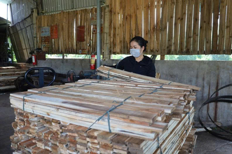 Tỷ lệ hộ ngh&egrave;o ở Ph&uacute; Thọ ng&agrave;y c&agrave;ng giảm.