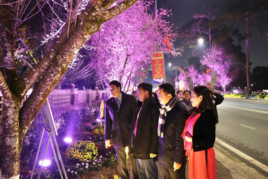 Đại biểu v&agrave; du kh&aacute;ch tham quan, thưởng l&atilde;m triển l&atilde;m ảnh hoa Mai Anh Đ&agrave;o trong kh&ocirc;ng gian nghệ thuật mở