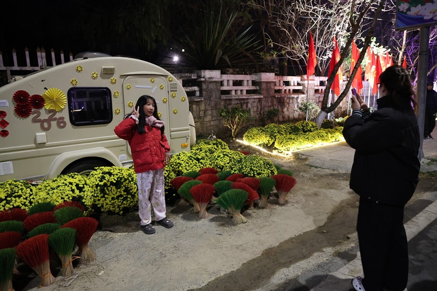 Du kh&aacute;ch ghi lại những khoảnh khắc đẹp b&ecirc;n hoa Mai Anh Đ&agrave;o v&agrave; c&aacute;c tiểu cảnh trang tr&iacute;