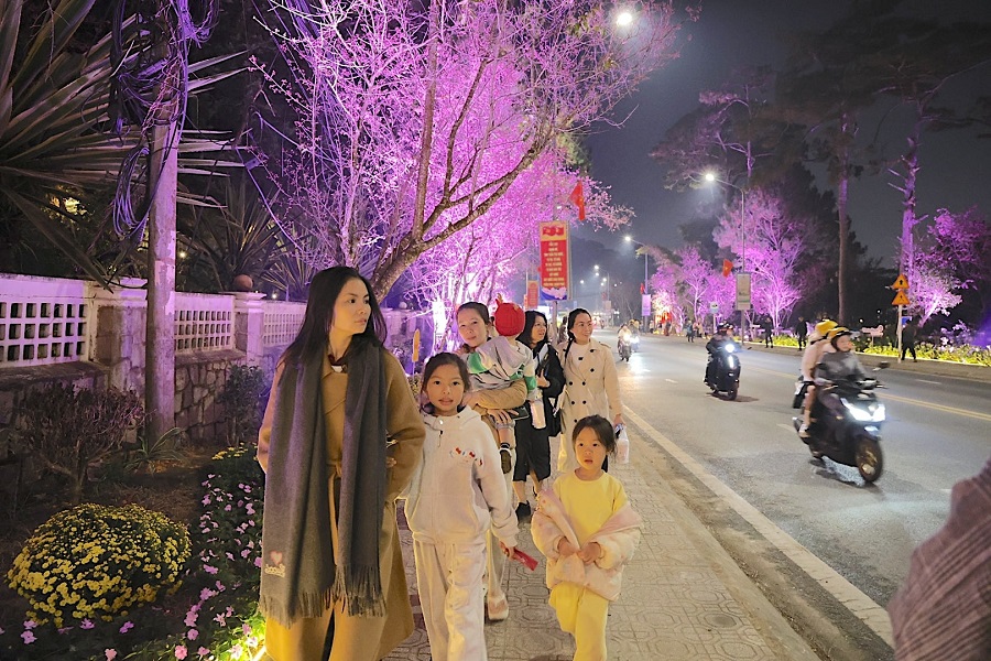 Đường hoa &aacute;nh s&aacute;ng, nghệ thuật trở th&agrave;nh điểm nhấn thu h&uacute;t người d&acirc;n v&agrave; du kh&aacute;ch trong dịp đầu xu&acirc;n 2026 tại phường Xu&acirc;n Hương - Đ&agrave; Lạt