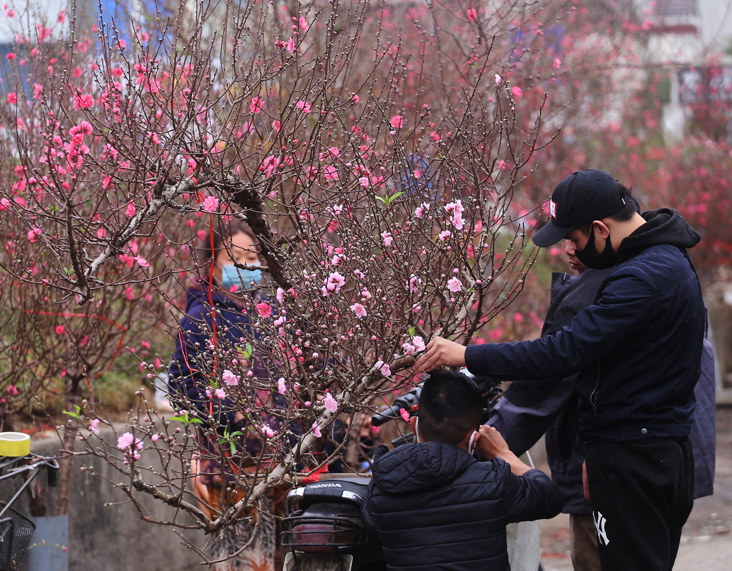 Ngo&agrave;i việc chọn mua c&acirc;y cảnh ở c&aacute;c khu chợ, nhiều người ti&ecirc;u d&ugrave;ng cũng t&igrave;m đến c&aacute;c k&ecirc;nh b&aacute;n h&agrave;ng trực tuyến.
