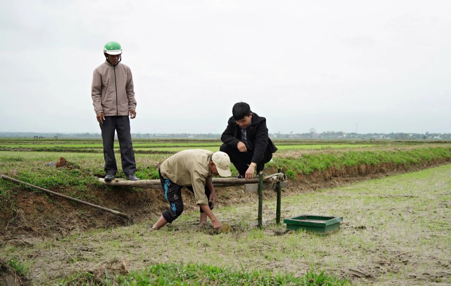 Quảng Trị: Có 6.000ha lúa tưới ngập khô xen kẽ trong vụ đông - xuân