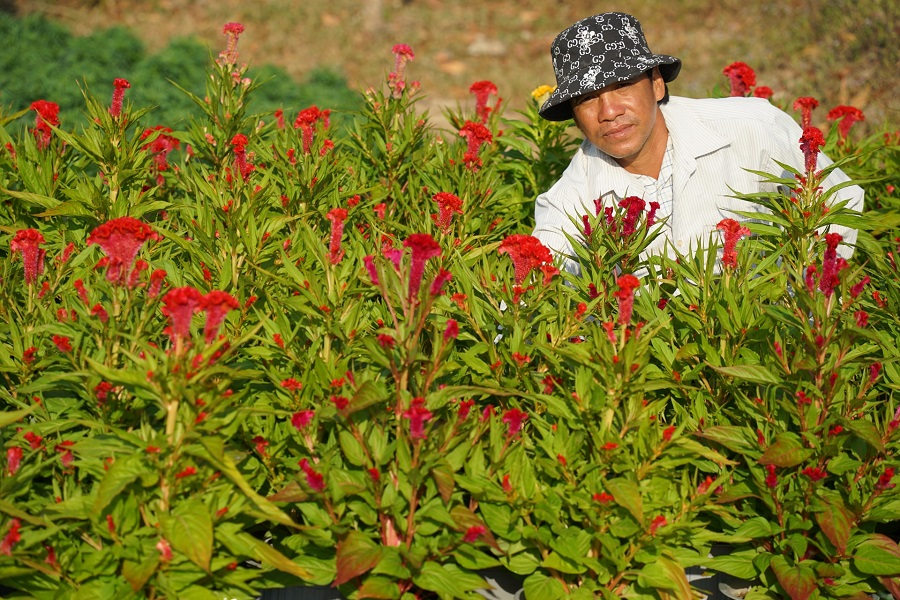 Anh Nguyễn Văn Dũng - Chi hội trưởng Hội N&ocirc;ng d&acirc;n khu phố 2, phường Tiến Th&agrave;nh: 