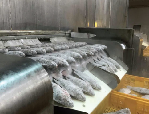 Kho báu Việt Nam được Mỹ săn lùng: Xuất khẩu tăng 499%, hưởng lợi thuế