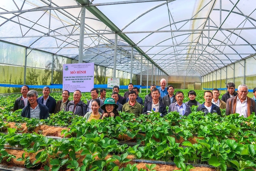 Trong năm 2025, to&agrave;n tỉnh thực hiện 26 m&ocirc; h&igrave;nh chuyển giao khoa học, kỹ thuật trồng trọt.