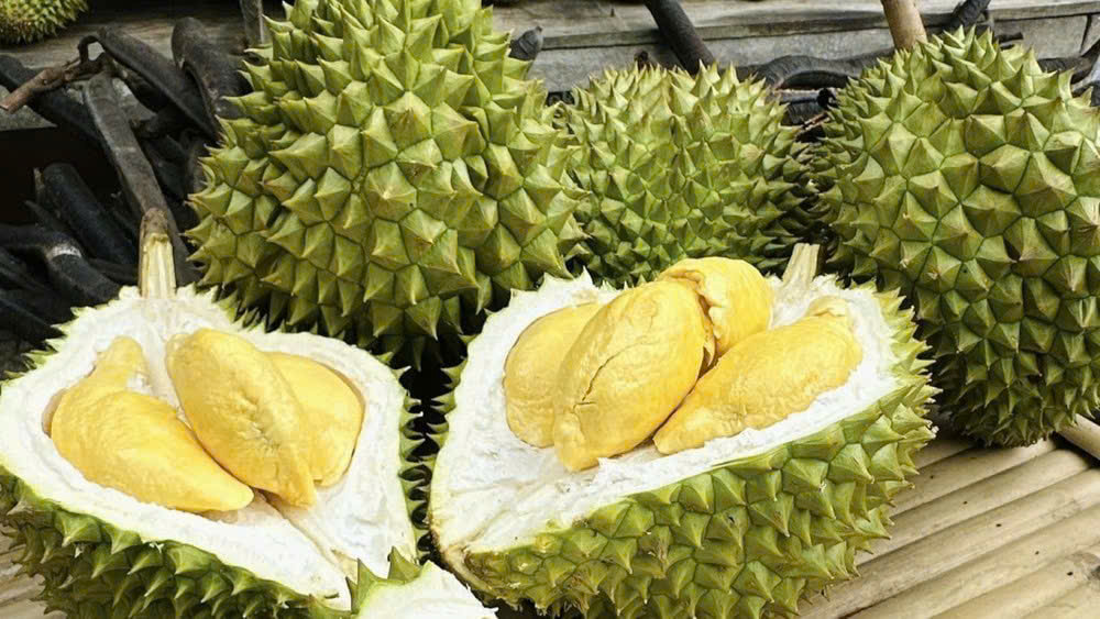 Giá sầu riêng hôm nay 30/1: Ri6 loại A bật tăng