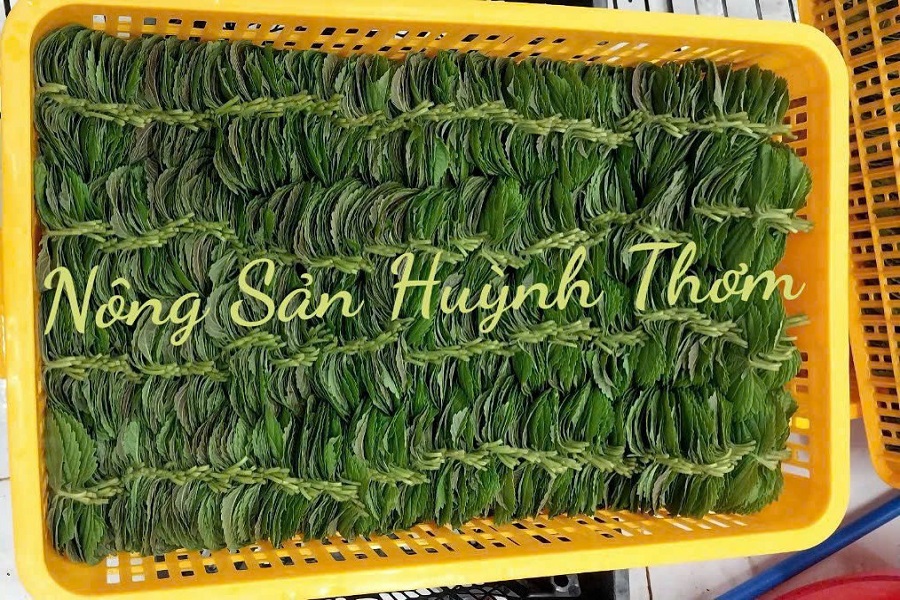 L&aacute; me xuất khẩu Huỳnh Thơm C&ocirc;ng ty Thuận Th&agrave;nh