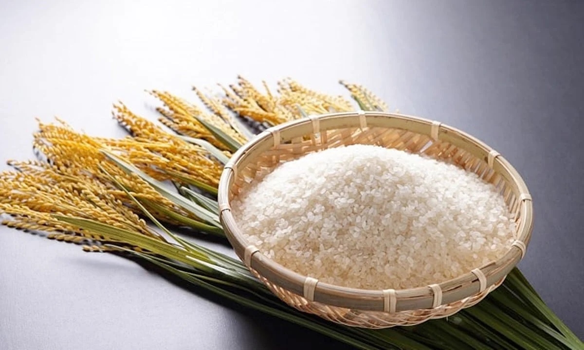 Gi&aacute; l&uacute;a gạo h&ocirc;m nay 30/1: Thị trường trầm lắng, gi&aacute; duy tr&igrave; ổn định (Ảnh minh hoa)