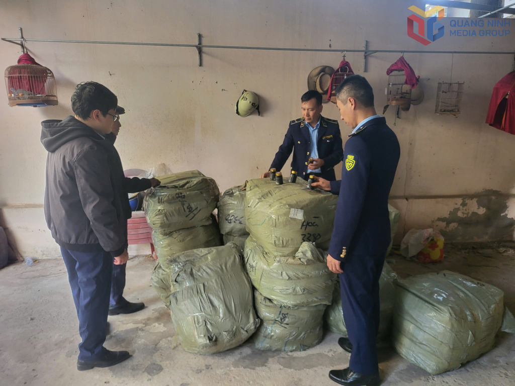 Đội QLTT số 4 bắt giữ l&ocirc; h&agrave;ng 4.200 lọ kẹo vi&ecirc;n nhập lậu từ Trung Quốc tại một kho h&agrave;ng thuộc phường M&oacute;ng C&aacute;i 1, ng&agrave;y 9/1/2026