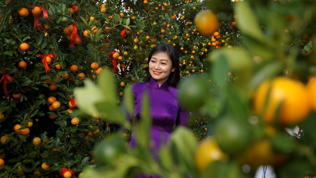 Phường Hội An T&acirc;y, người d&acirc;n bản địa nơi đ&acirc;y gắn b&oacute; l&acirc;u đời với nghề trồng quật cảnh v&agrave; đang từng bước trở th&agrave;nh ng&agrave;nh kinh tế mũi nhọn.