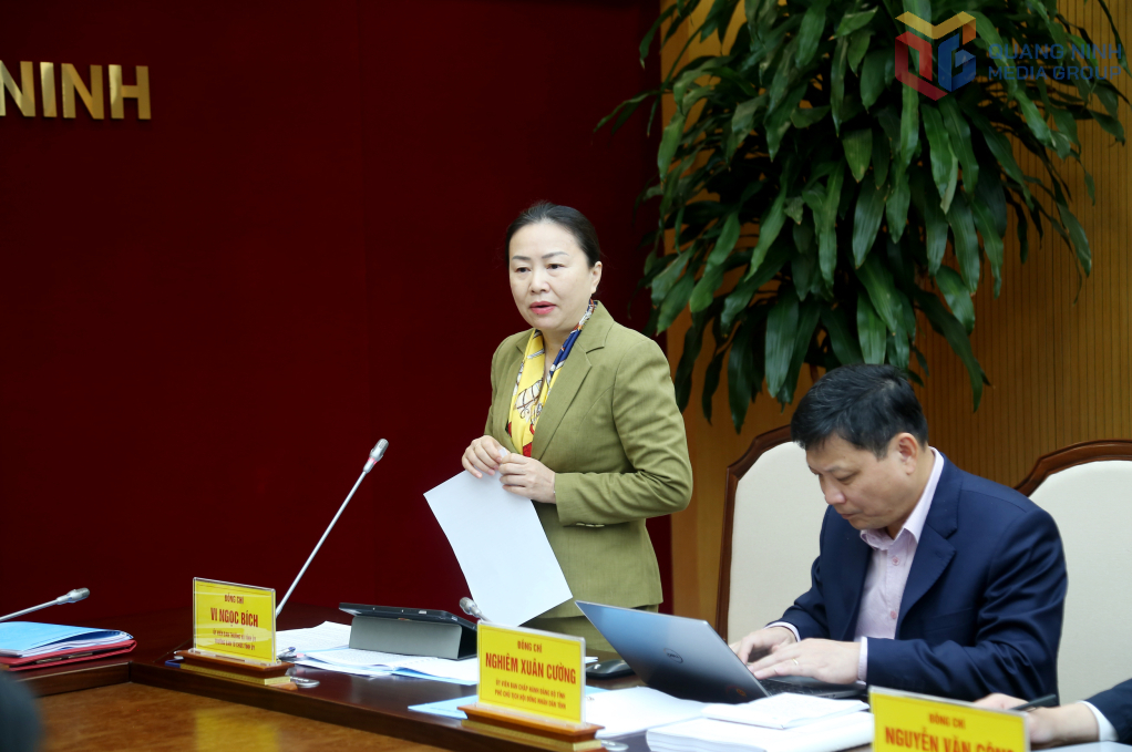 B&agrave; Vi Ngọc B&iacute;ch, Trưởng Ban Tổ chức Tỉnh ủy Quảng Ninh, ph&aacute;t biểu tại buổi l&agrave;m việc