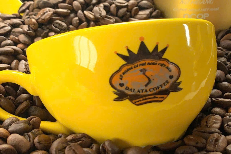 Dalata Coffee và câu chuyện OCOP 4 sao giữa sương mù cao nguyên