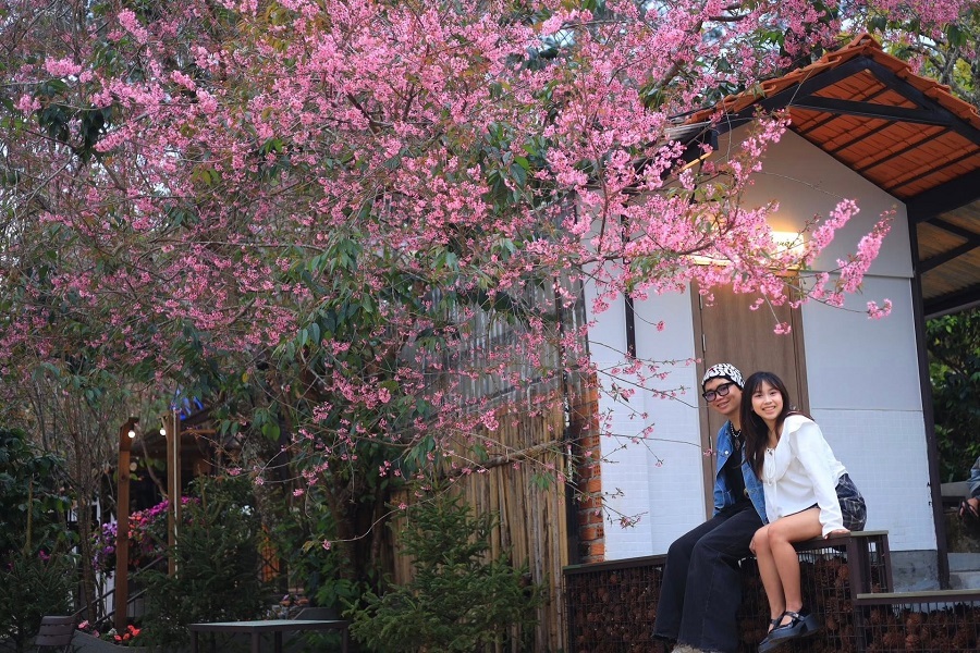 Vẻ đẹp kh&oacute; cưỡng của lo&agrave;i hoa mỏng manh