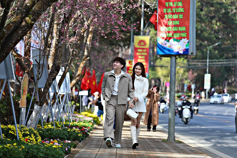 Đà Lạt vào xuân khiến vạn vật phải nhường bước