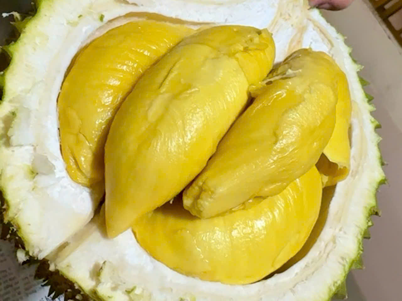 Giá sầu riêng hôm nay 31/1: Sầu Thái loại A chạm mốc 145.000 đồng/kg