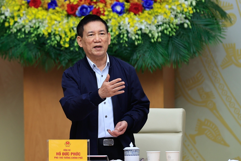 Ph&oacute; Thủ tướng Hồ Đức Phớc ph&aacute;t biểu tại Phi&ecirc;n họp - Ảnh: VGP/Nhật Bắc