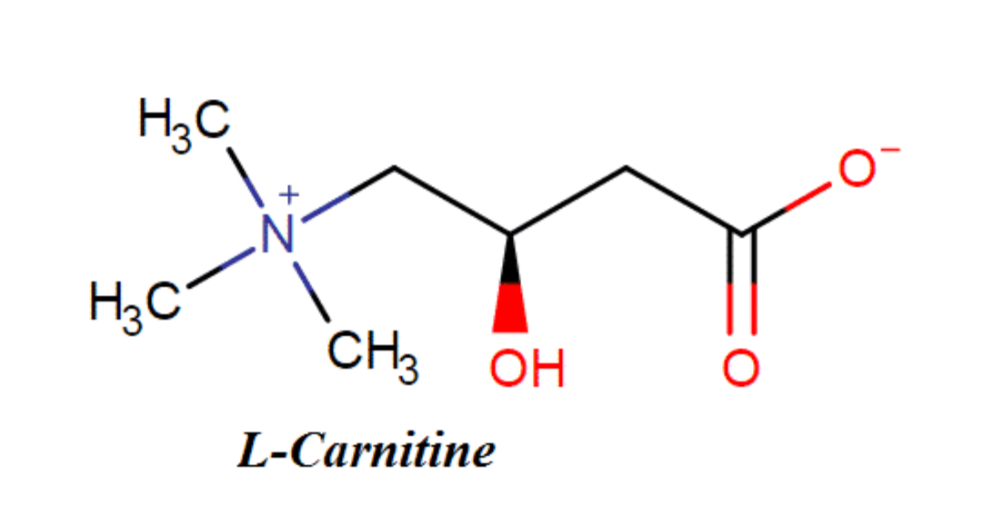 L-Carnitine fumarate gi&uacute;p t&aacute;i tạo da, ngăn mề đay, dị ứng t&aacute;i ph&aacute;t