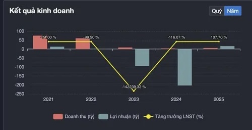 Kết quả kinh doanh của DRH từ 2021 tới 2025. Nguồn: FireAnt
