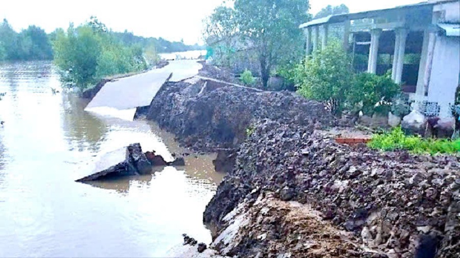 Cà Mau quyết liệt triển khai các hoạt động bảo vệ môi trường và thích ứng biến đổi khí hậu giai đoạn 2026-2030