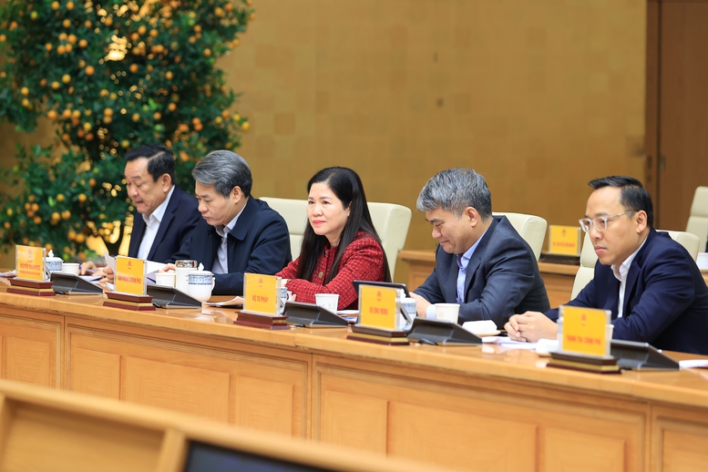 Đại diện c&aacute;c bộ, ng&agrave;nh dự Phi&ecirc;n họp - Ảnh: VGP/Nhật Bắc