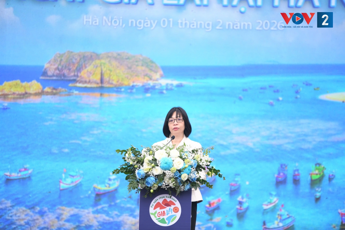 B&agrave; Nguyễn Thị Thanh Lịch - Ph&oacute; Chủ tịch UBND tỉnh Gia Lai. (Ảnh: vov.vn)