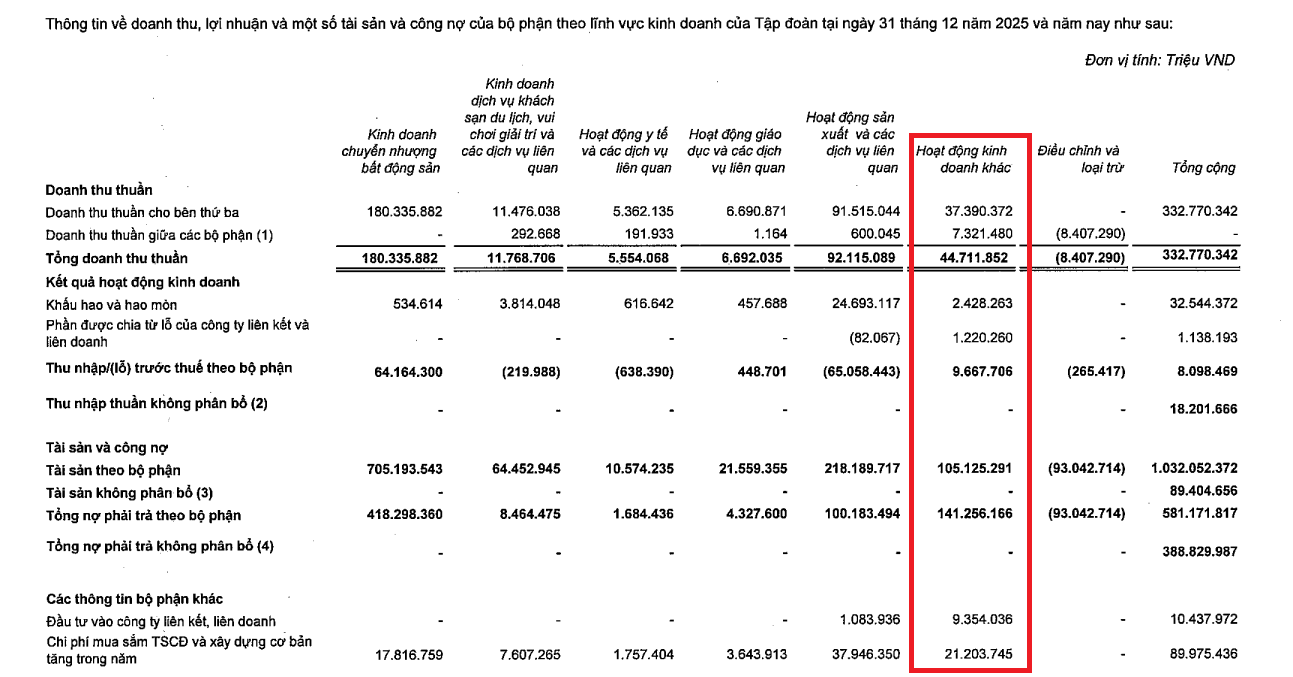 Nguồn: BCTC hợp nhất của Vingroup)