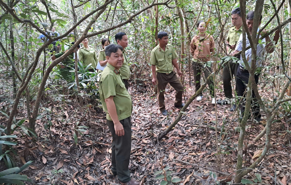 Tây Ninh nâng cao trách nhiệm trong công tác phòng cháy, chữa cháy rừng