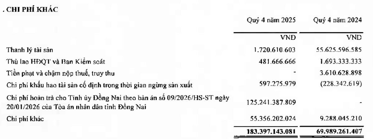 Tổng c&ocirc;ng ty T&iacute;n Nghĩa thuyết minh chi ph&iacute; kh&aacute;c tăng đột biến li&ecirc;n quan ghi nhận 125,24 tỷ đồng ho&agrave;n trả cho Tỉnh uỷ Đồng Nai.